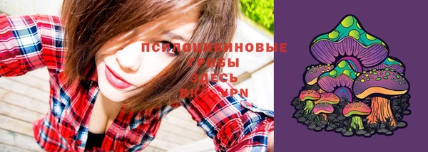 стафф Краснослободск