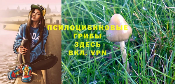 прущая мука Кукмор