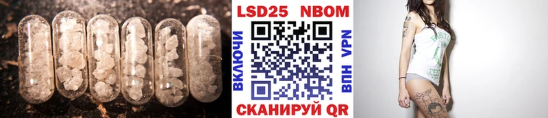 KRAKEN ссылки  Шацк  Лсд 25 экстази ecstasy 