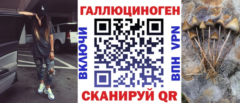 Псилоцибиновые грибы мицелий  Шацк 
